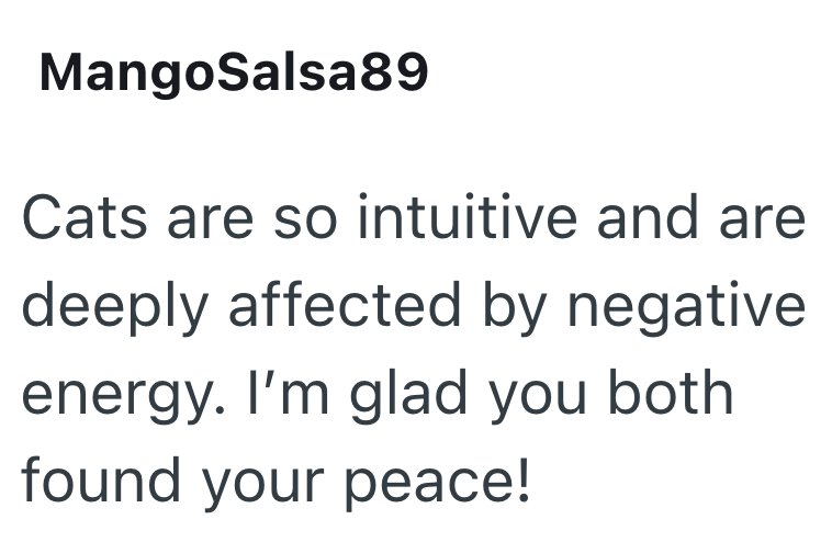 MangoSalsa89 Cats are so intuitive and are deeply affected by negative energy. I'm glad you both found your peace!