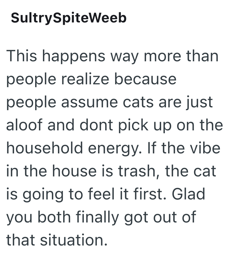 SultrySpiteWeeb This happens way more than people realize because people assume cats are just aloof and dont pick up on the household energy. If the vibe in the house is trash, the cat is going to feel it first. Glad you both finally got out of that situation.
