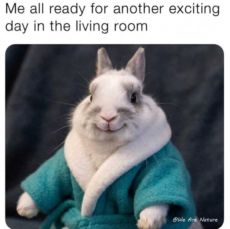 Me all ready for another exciting day in the living room. @We Are Nature