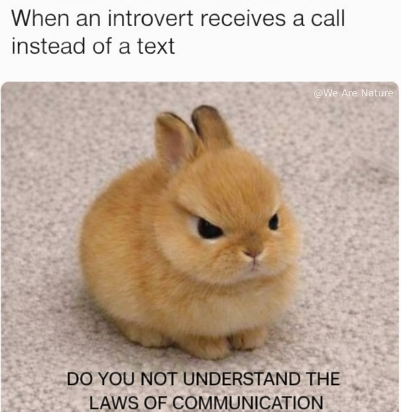 When an introvert receives a call instead of a text @We Are Nature DO YOU NOT UNDERSTAND THE LAWS OF COMMUNICATION