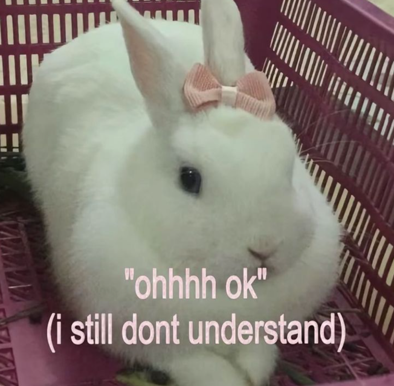 Ш "ohhhh ok" (i still dont understand)