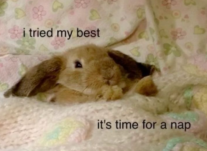 i tried my best it's time for a nap