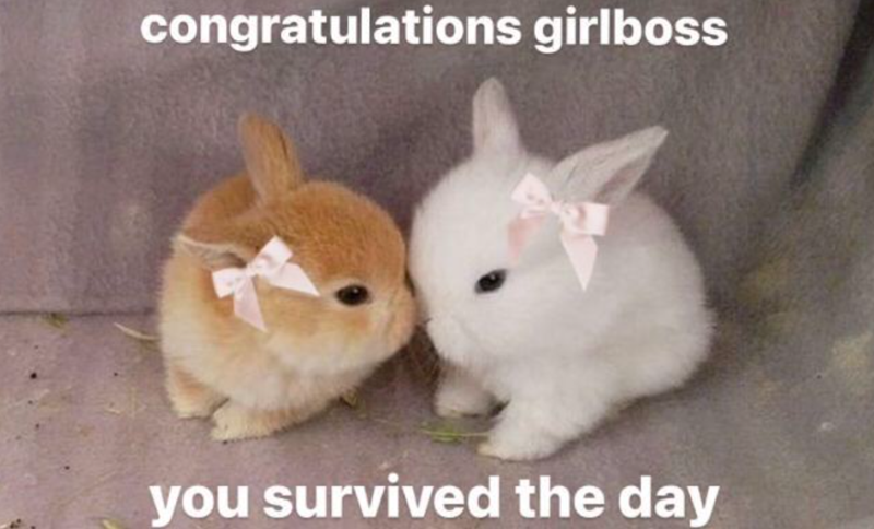 congratulations girlboss you survived the day