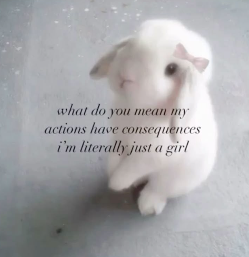 what do you mean my actions have consequences i'm literally just a girl