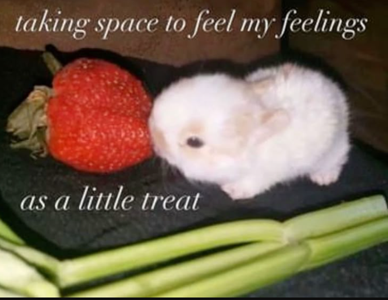 taking space to feel my feelings as a little treat
