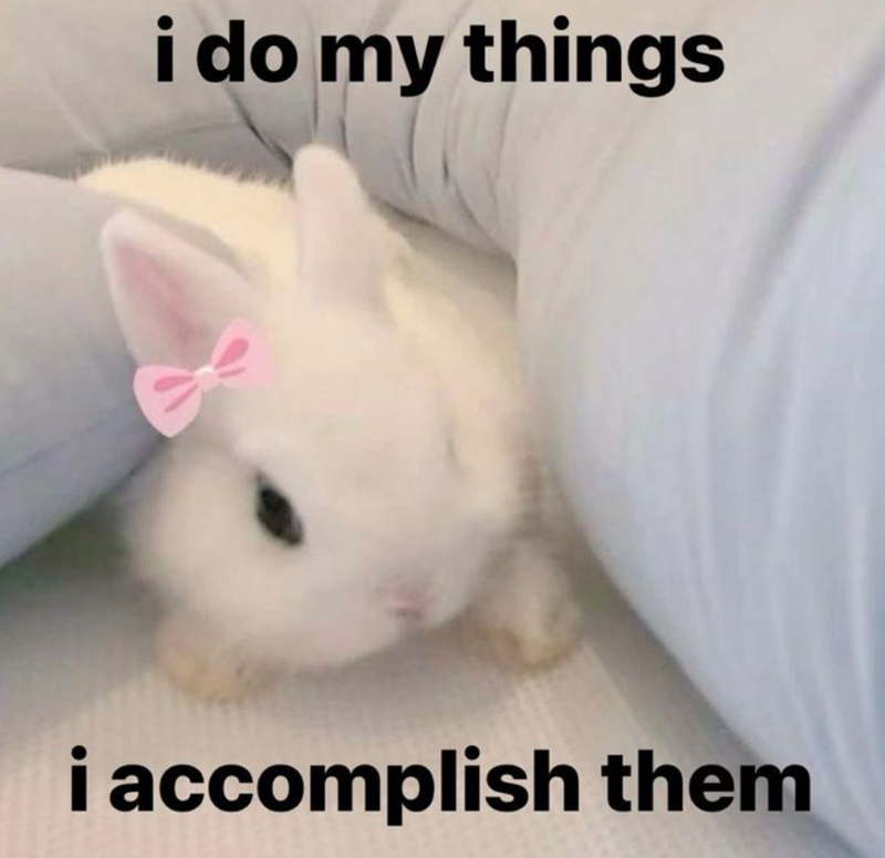 i do my things i accomplish them