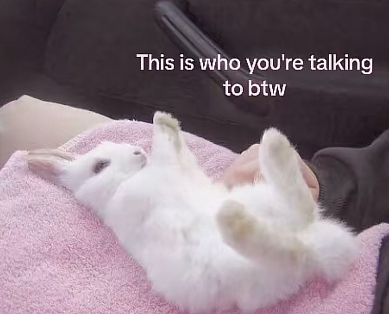 This is who you're talking to btw