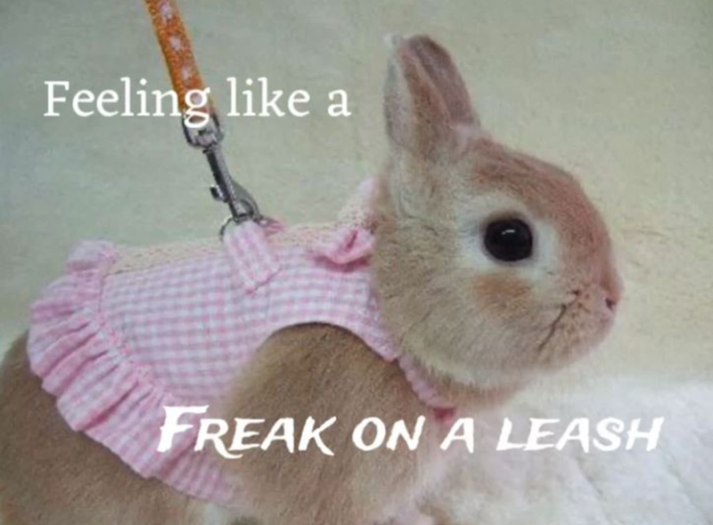 Feeling like a FREAK ON A LEASH