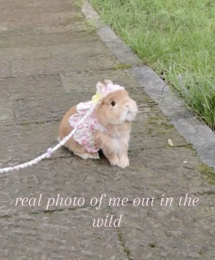 real photo of me out in the wild