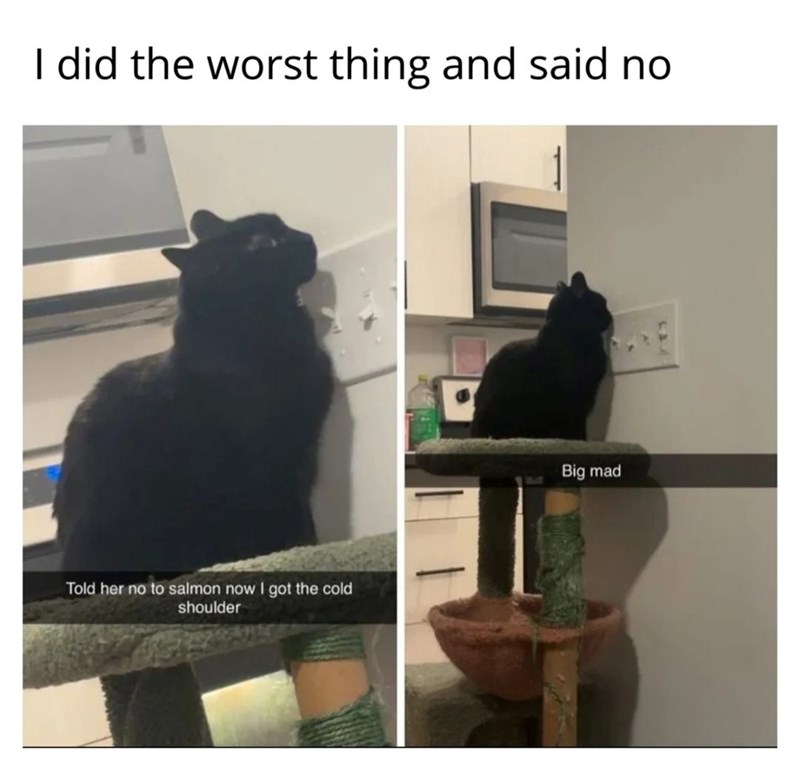 I did the worst thing and said no Told her no to salmon now I got the cold shoulder Big mad