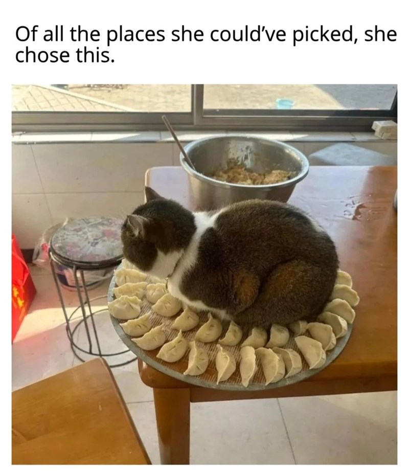 Of all the places she could've picked, she chose this.