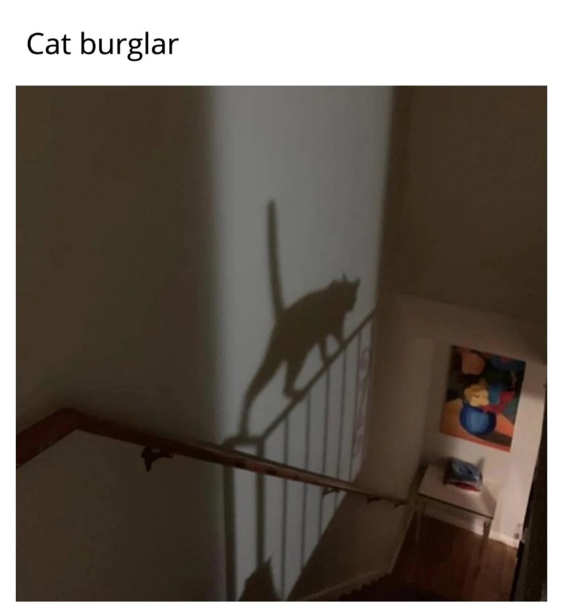 Cat burglar