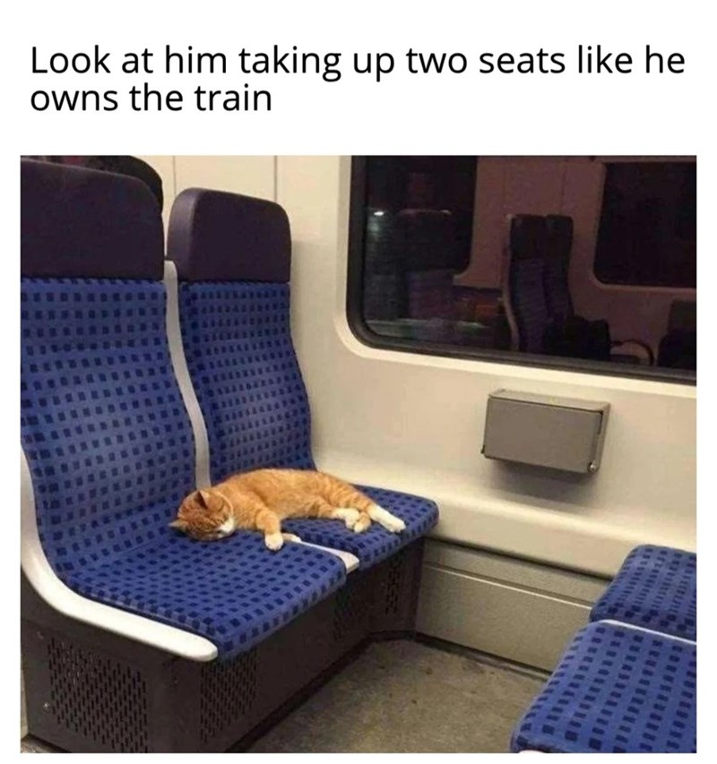 Look at him taking up two seats like he owns the train