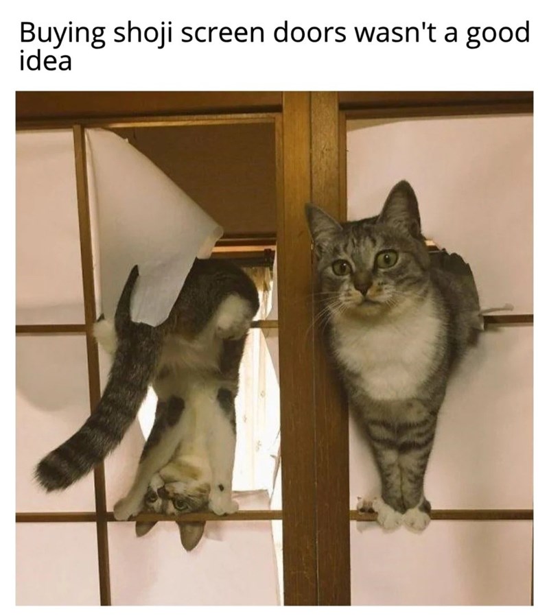 Buying shoji screen doors wasn't a good idea