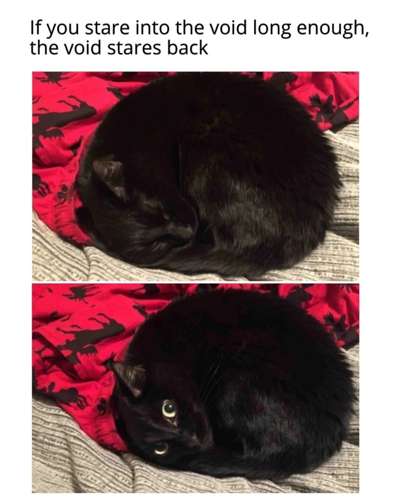 If you stare into the void long enough, the void stares back
