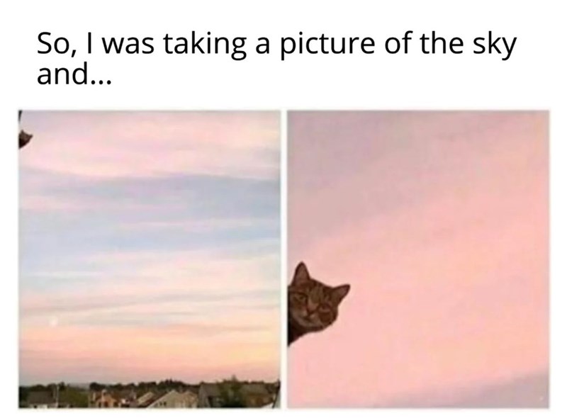 So, I was taking a picture of the sky and...