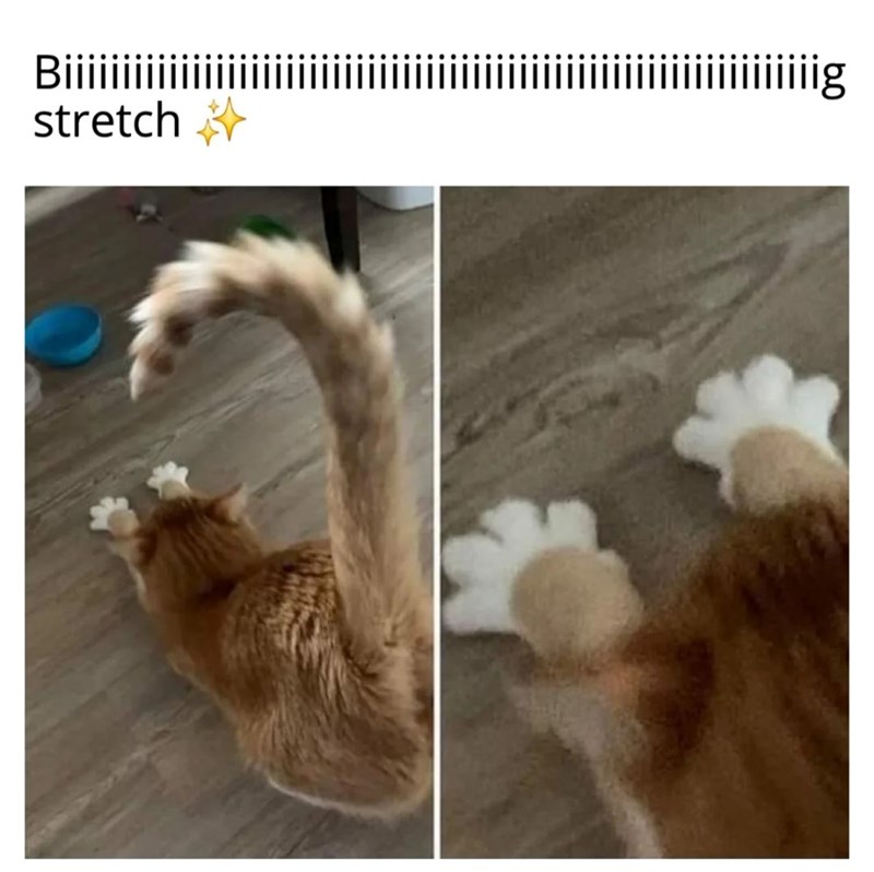 Biiiii iiiiiiiiig stretch ✰*