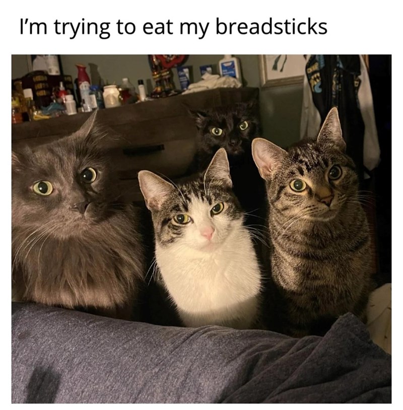 I'm trying to eat my breadsticks