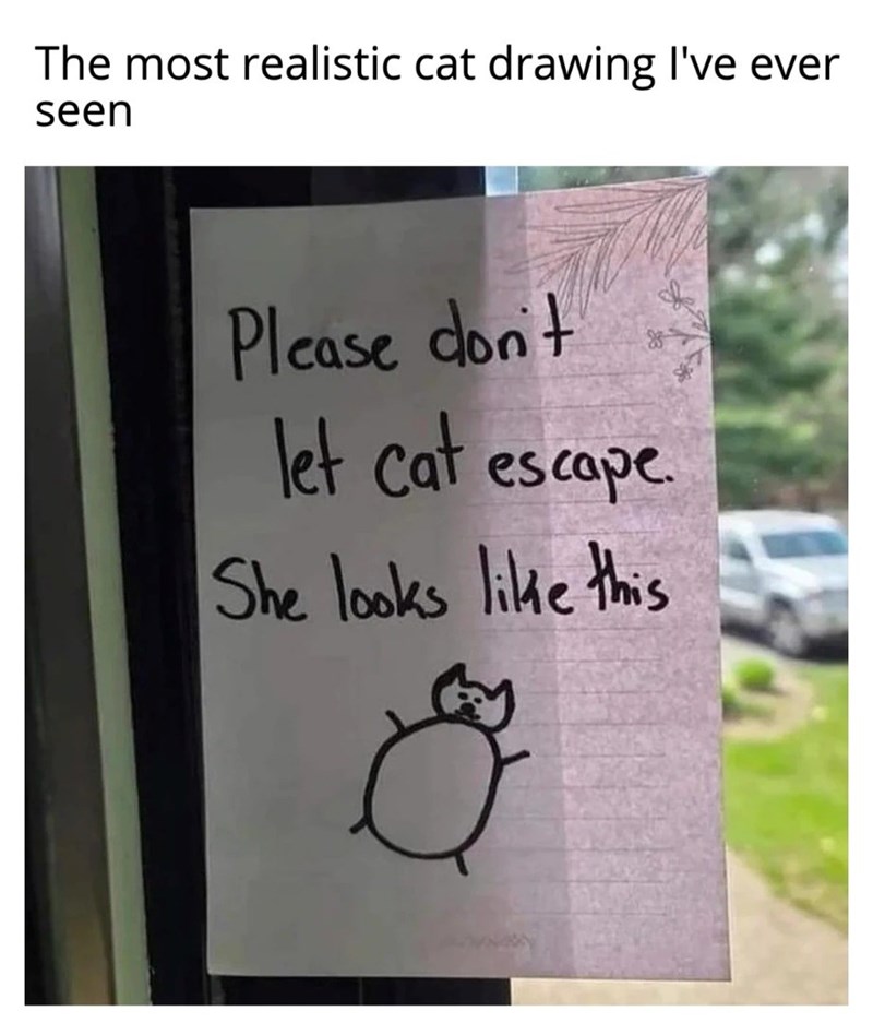 The most realistic cat drawing I've ever seen Please don't let cat escape. She looks like this