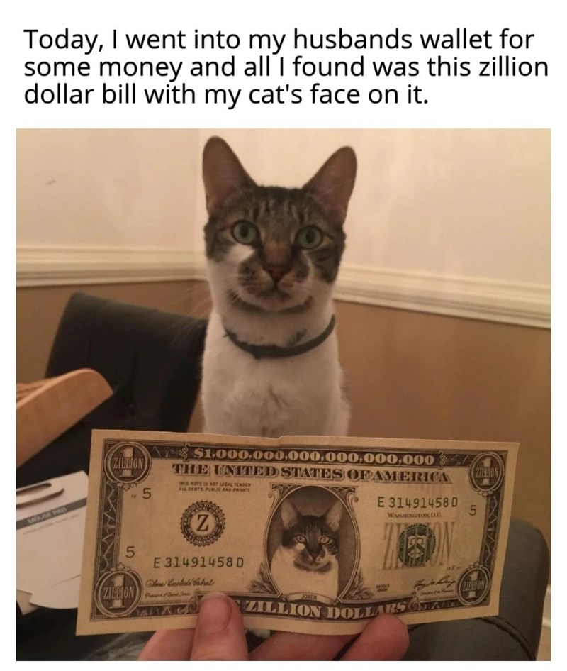 Today, I went into my husbands wallet for some money and all I found was this zillion dollar bill with my cat's face on it. MOUSE PAD ZILLION 5 $1,000,000,000,000,000,000 THE UNITED STATES OF AMERICA THIS NOTE IS NOT LEGAL TENDER ALL DEBTS, PUBLIC AND PRIVATE ZILLION E 31491458 D 5 WASHINGTON, DC. Z E 31491458 D 5 How Lesbeds Cabal ZILLION 750 ZILLION DOLLARS ONE E