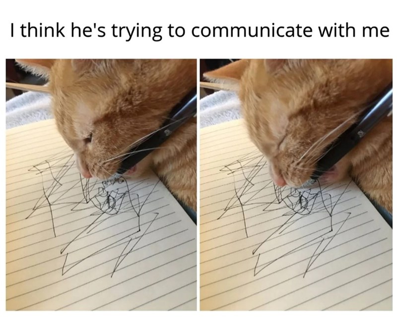 I think he's trying to communicate with me