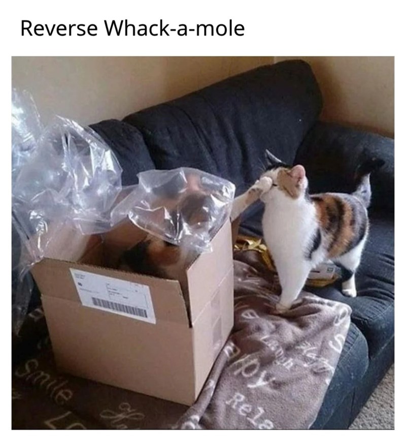 Reverse Whack-a-mole Smile 47097 /py Rela