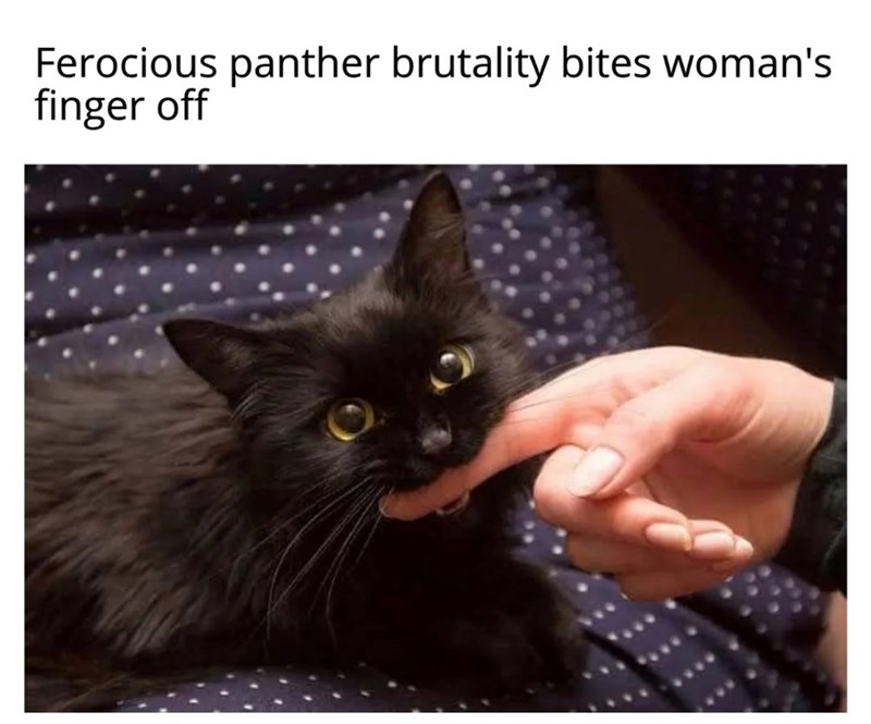 Ferocious panther brutality bites woman's finger off