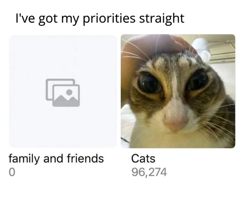 I've got my priorities straight family and friends Cats 0 96,274
