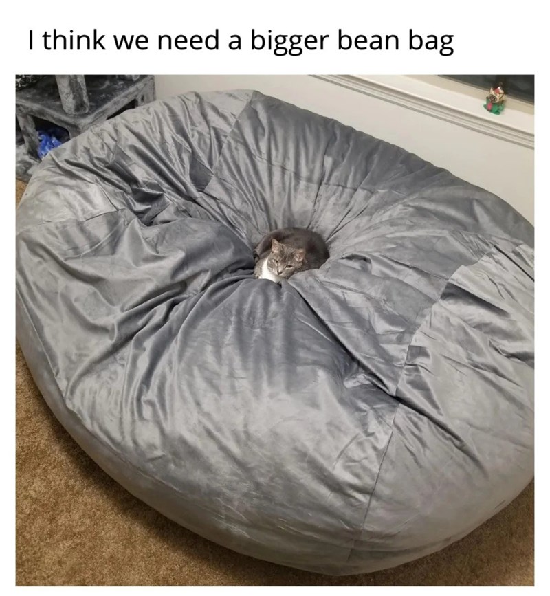 I think we need a bigger bean bag