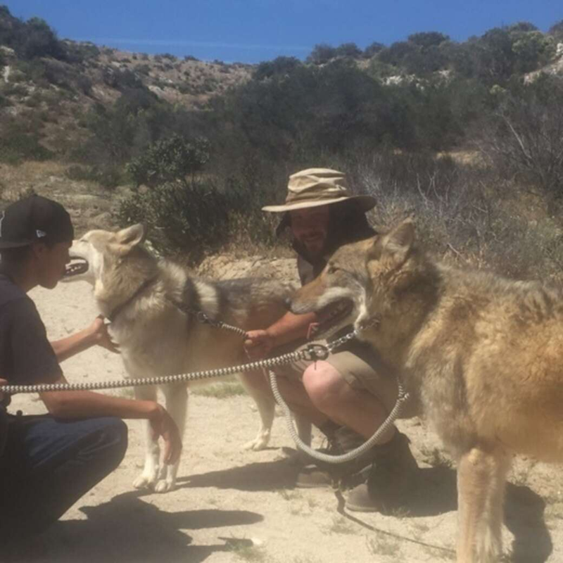 Cheezburger Image 10623852288