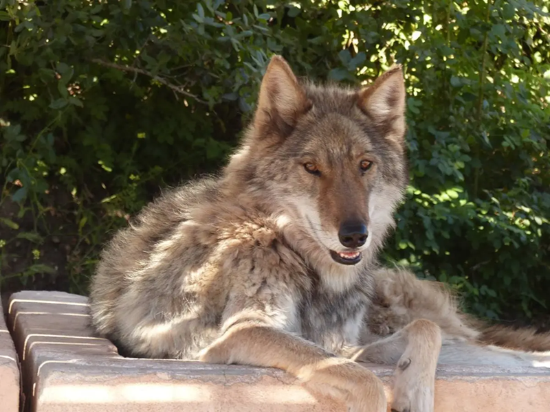 Cheezburger Image 10623856128