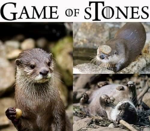 GAME OF STONES