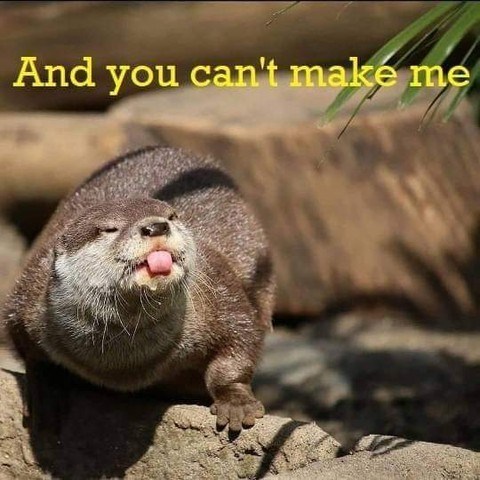 And you can't make me