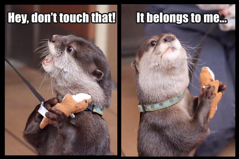 Hey, don't touch that! It belongs to me...