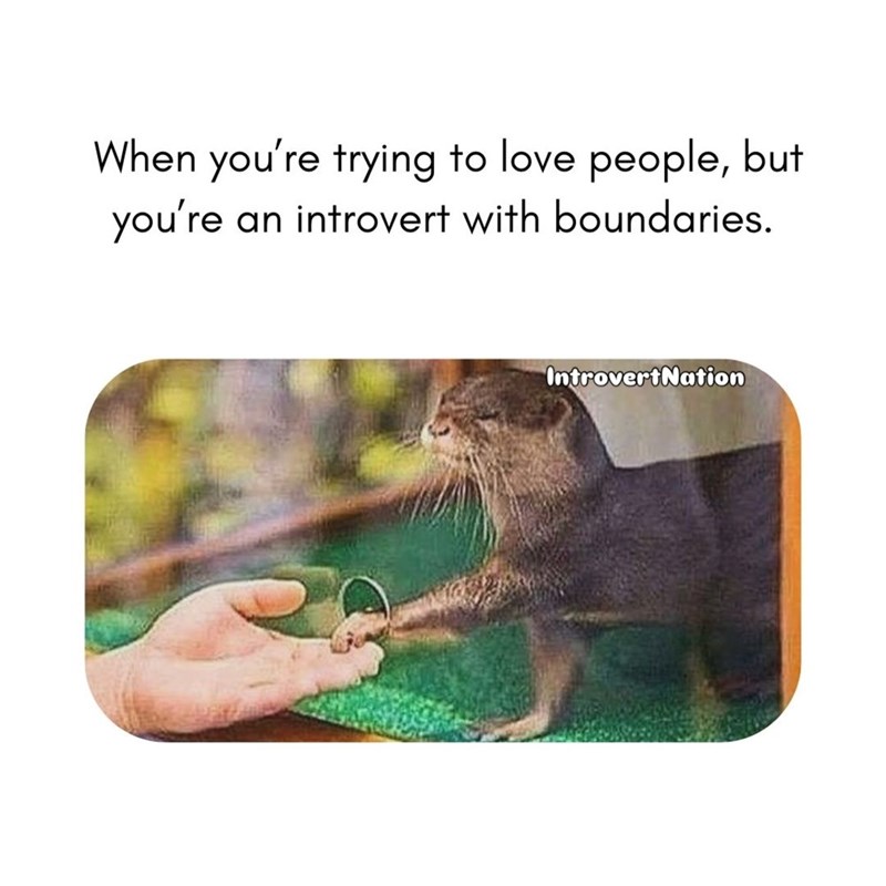When you're trying to love people, but you're an introvert with boundaries. IntrovertNation