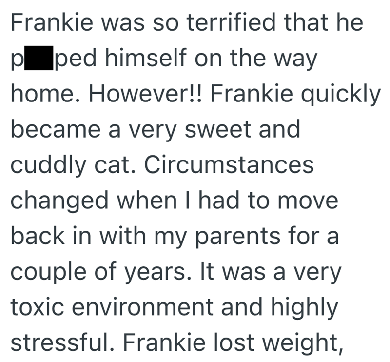 Frankie was so terrified that he p_ped himself on the way home. However!! Frankie quickly became a very sweet and cuddly cat. Circumstances changed when I had to move back in with my parents for a couple of years. It was a very toxic environment and highly stressful. Frankie lost weight,