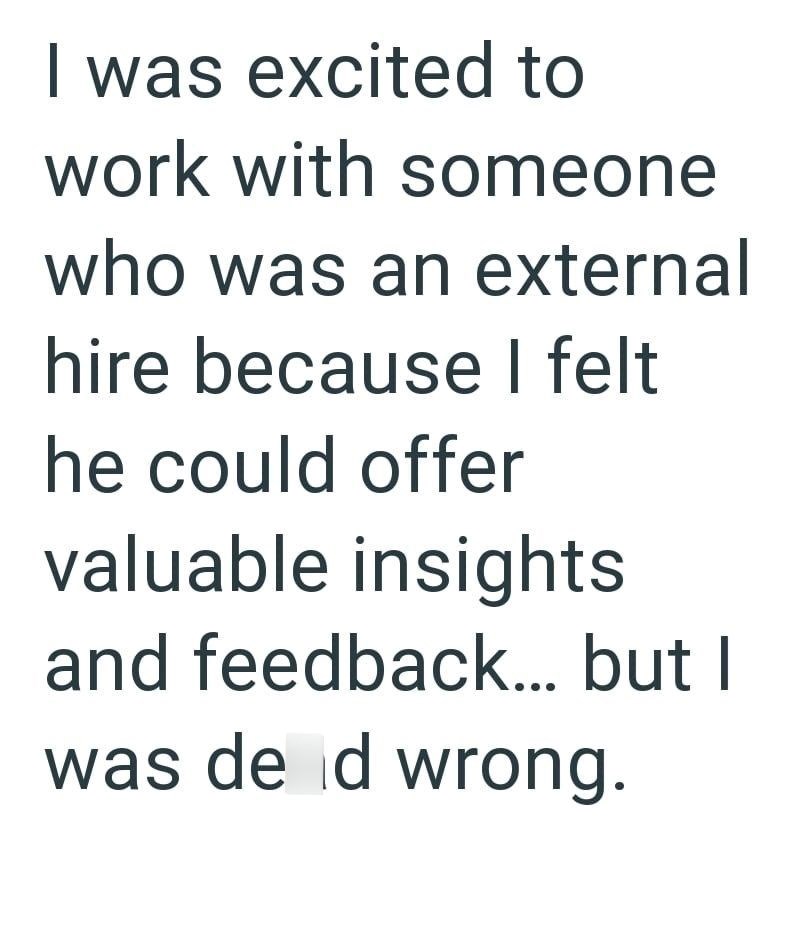I was excited to work with someone who was an external hire because I felt he could offer valuable insights and feedback... but I was de d wrong.