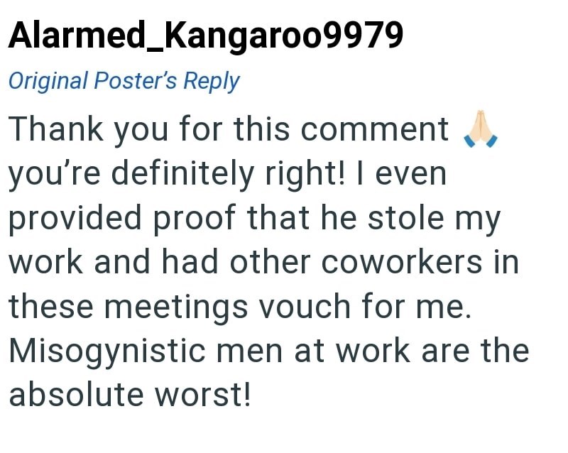 Alarmed_Kangaroo9979 Original Poster's Reply Thank you for this comment you're definitely right! I even provided proof that he stole my work and had other coworkers in these meetings vouch for me. Misogynistic men at work are the absolute worst!