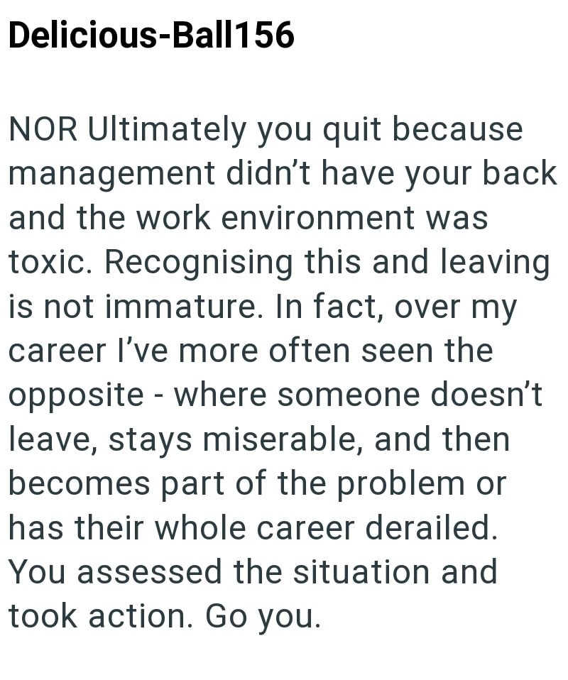 Delicious-Ball156 NOR Ultimately you quit because management didn't have your back and the work environment was toxic. Recognising this and leaving is not immature. In fact, over my career I've more often seen the opposite - where someone doesn't leave, stays miserable, and then becomes part of the problem or has their whole career derailed. You assessed the situation and took action. Go you.