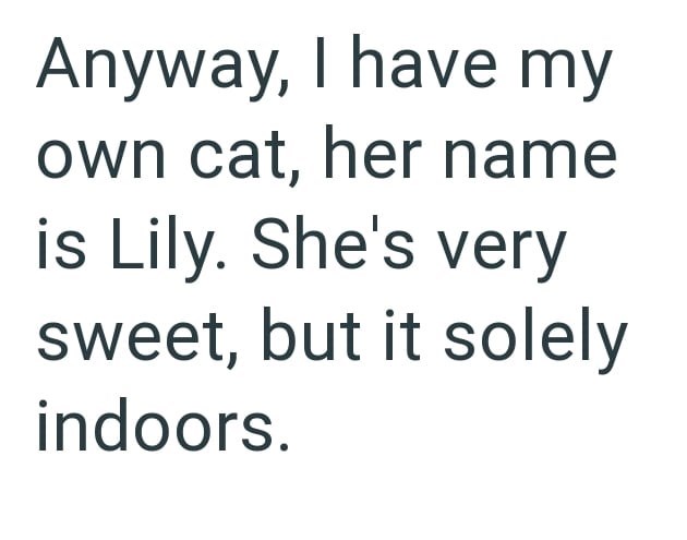 Anyway, I have my own cat, her name is Lily. She's very sweet, but it solely indoors.