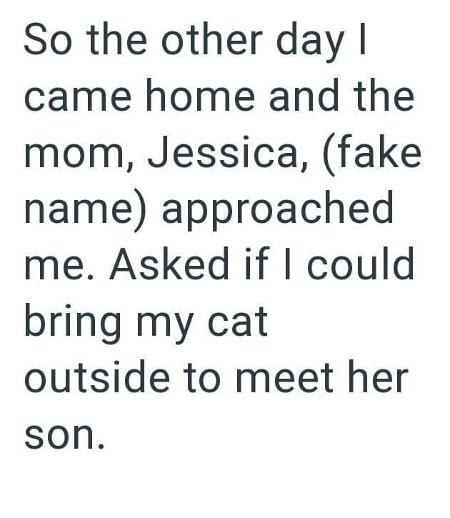 So the other day I came home and the mom, Jessica, (fake name) approached me. Asked if I could bring my cat outside to meet her son.