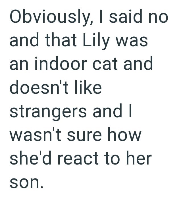 Obviously, I said no and that Lily was an indoor cat and doesn't like strangers and I wasn't sure how she'd react to her son.