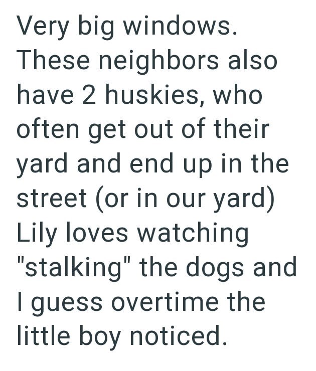 Very big windows. These neighbors also have 2 huskies, who often get out of their yard and end up in the street (or in our yard) Lily loves watching "stalking" the dogs and I guess overtime the little boy noticed.