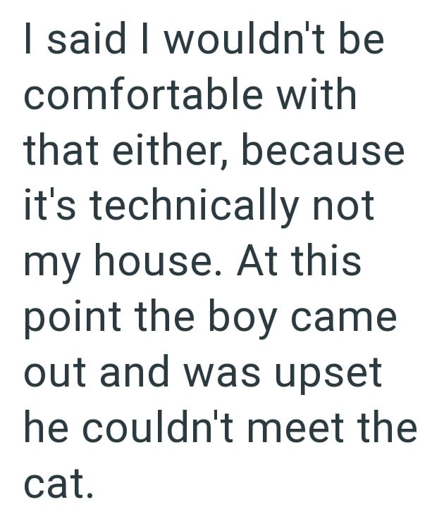 I said I wouldn't be comfortable with that either, because it's technically not my house. At this point the boy came out and was upset he couldn't meet the cat.