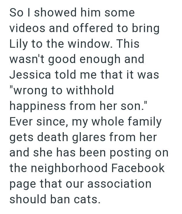 So I showed him some videos and offered to bring Lily to the window. This wasn't good enough and Jessica told me that it was "wrong to withhold happiness from her son." Ever since, my whole family gets death glares from her and she has been posting on the neighborhood Facebook page that our association should ban cats.