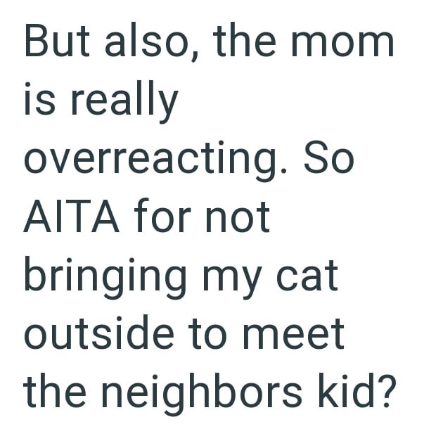 But also, the mom is really overreacting. So AITA for not bringing my cat outside to meet the neighbors kid?