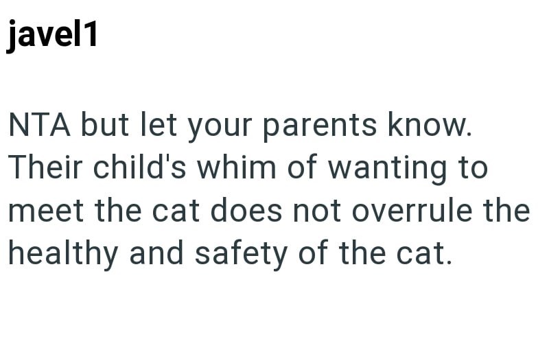 javel1 NTA but let your parents know. Their child's whim of wanting to meet the cat does not overrule the healthy and safety of the cat.