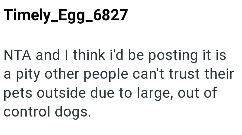 Timely_Egg_6827 NTA and I think i'd be posting it is a pity other people can't trust their pets outside due to large, out of control dogs.