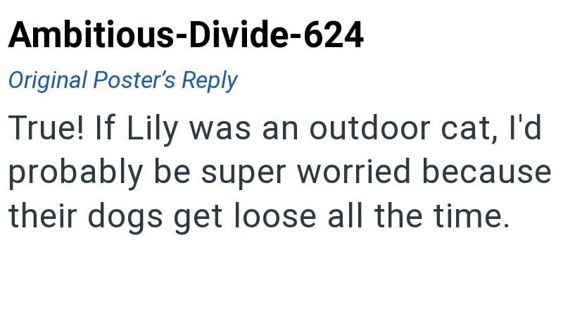 Ambitious-Divide-624 Original Poster's Reply True! If Lily was an outdoor cat, I'd probably be super worried because their dogs get loose all the time.