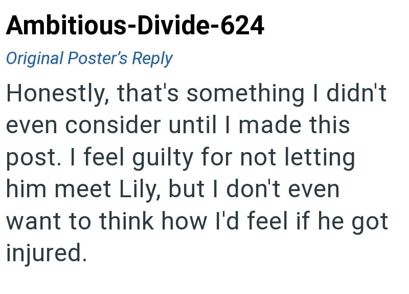 Ambitious-Divide-624 Original Poster's Reply Honestly, that's something I didn't even consider until I made this post. I feel guilty for not letting him meet Lily, but I don't even want to think how I'd feel if he got injured.